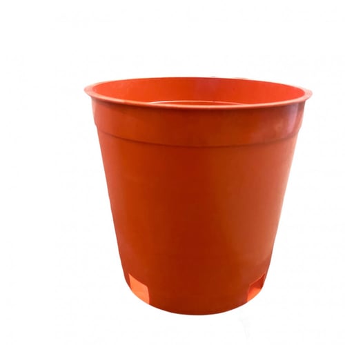 مركن تشتيل 16 سم ( 50 حبة )