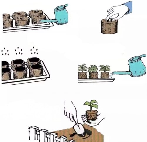 اقراص بستنة لزراعة البذور جي في سفن 20 حبة