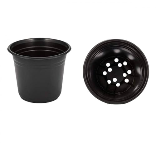 مركن تشتيل 9 سم ( 5200 حبة )