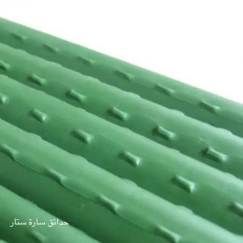 اعمدة عصا تثبيت للشتلات ( الطول 1.50 م) بالحبة