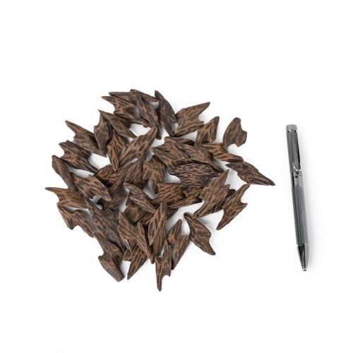 عود كمبودي محسن ملكي ( تايقر )