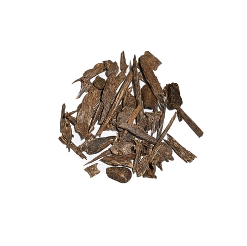 عود كلمنتان بونتيانك ميني دبل مرتفع