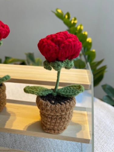 أصيص الوردة