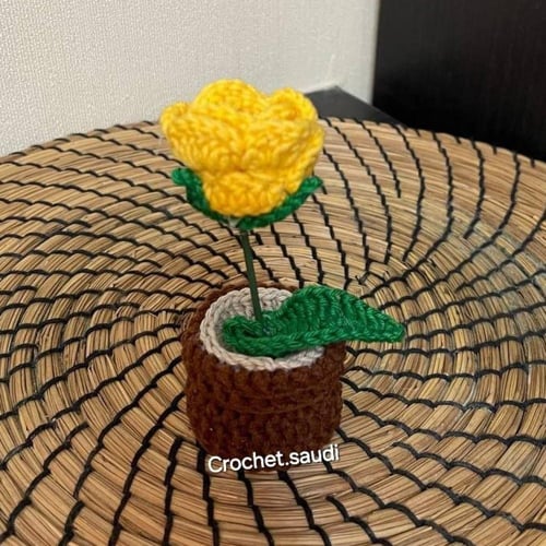 أصيص الوردة