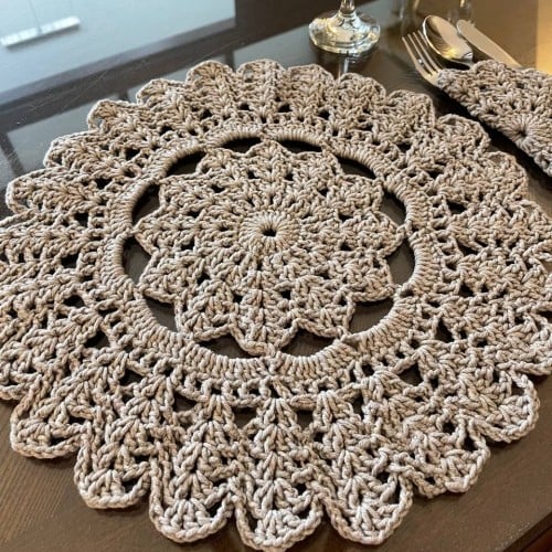 قاعدة صحن كوستر