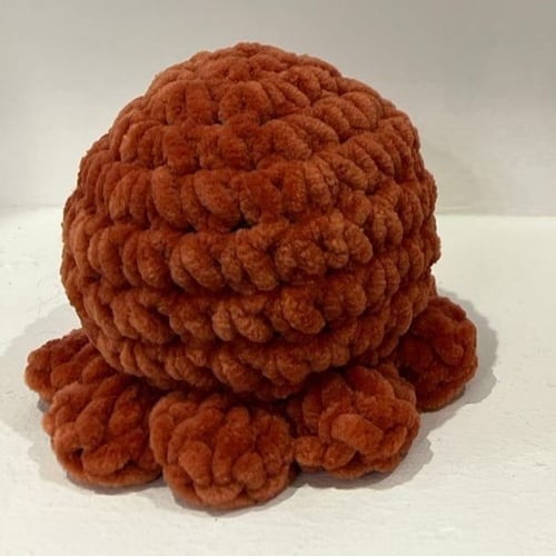 خشخيشة مخمل