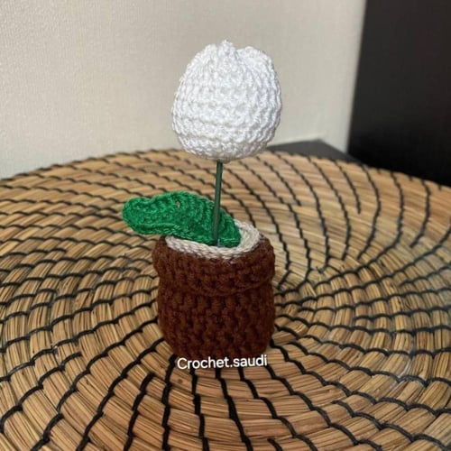 أصيص الوردة