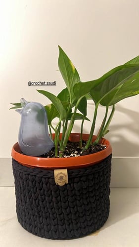 سلة مع شتلة