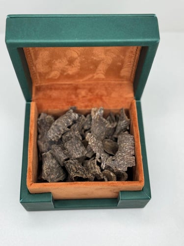 عود زوايا فيتنامي طبيعي