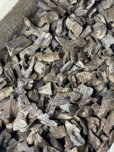 عود كنام صيني طبيعي