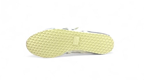 بالرينا اسيكس فضي