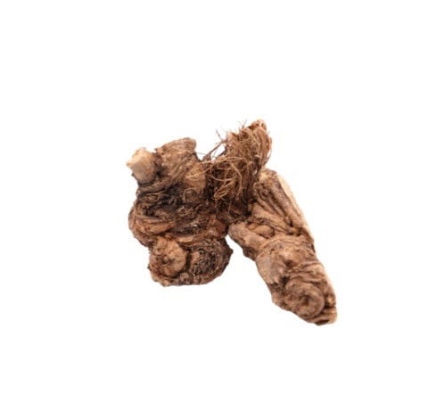 شرس الزلوع