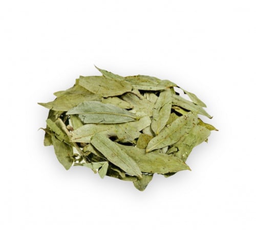 عشبة سنامكي