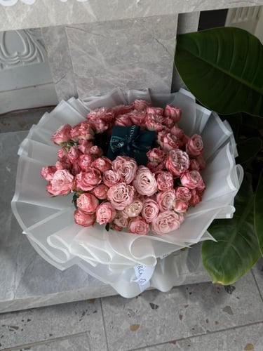 عقد كنده فراشه