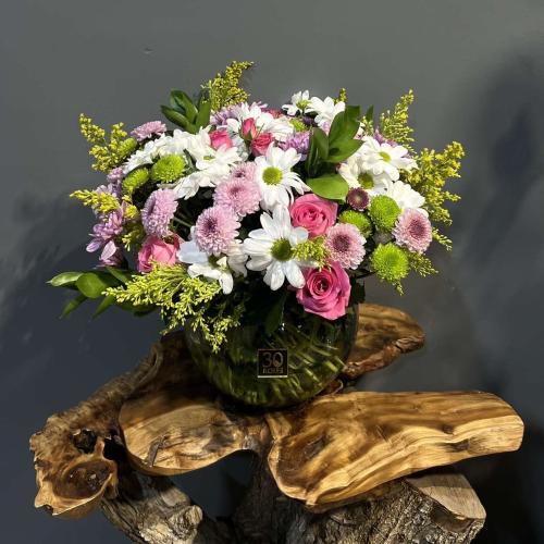 فازة الحياة