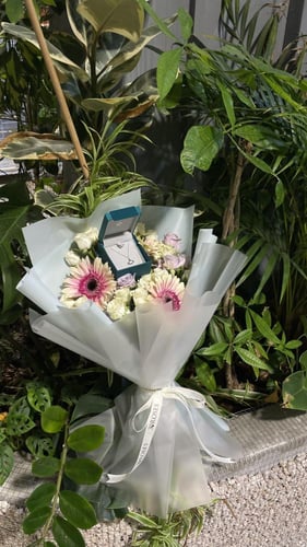 باقة فايندرا (بدون الهدية)