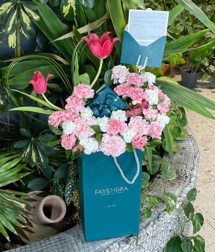 عقد فايندرا الفضي الناعم