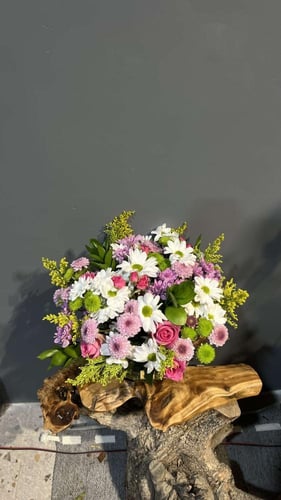 فازة الحياة