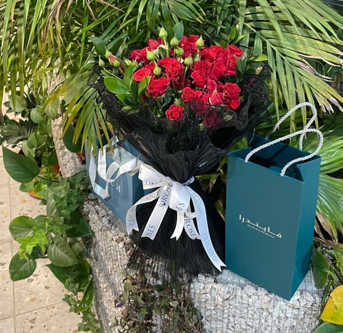 عقد فايندرا الفضي الناعم