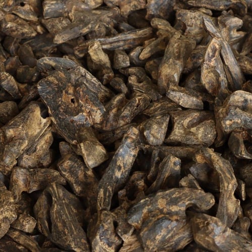 كمبودي الظبي