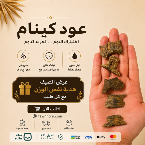عرض كينام الحصري