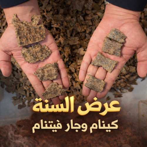 عرض السنه كينام وفيتنام