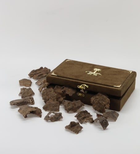 صفائح فيتنامي رويال