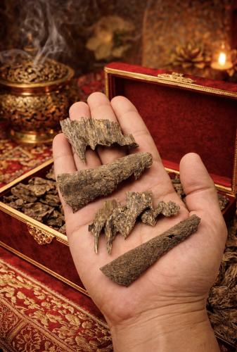 زوايا رويال فيتنامي