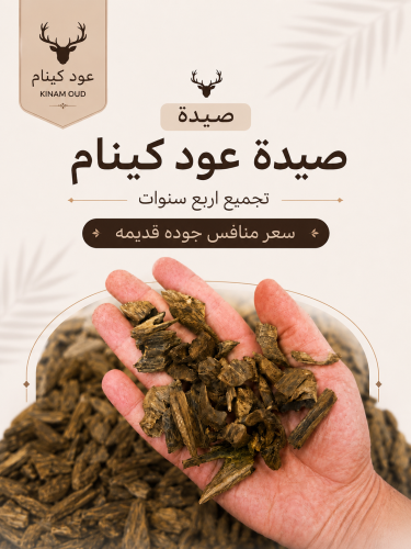 صيدة عود كينام تجميع 4 سنوات