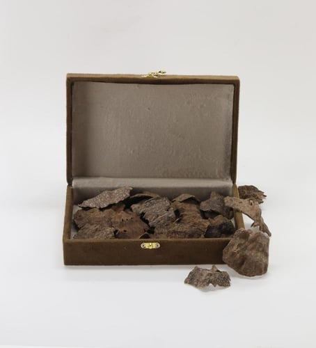 صفائح فيتنامي رويال