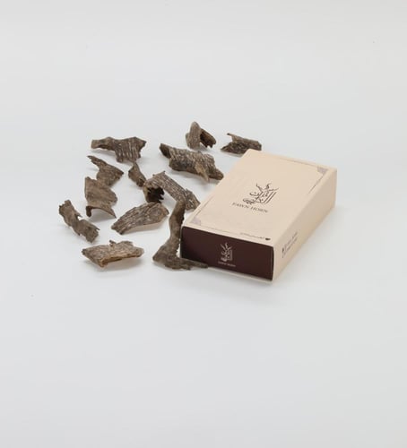 قواقع فيتنامي طبيعي