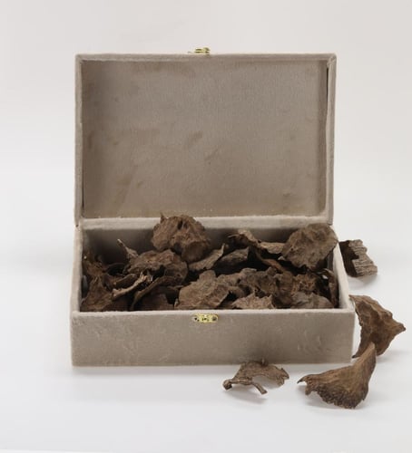 صفائح فيتنامي رويال