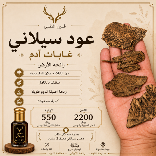 سيلاني غابة ادم طبيعي