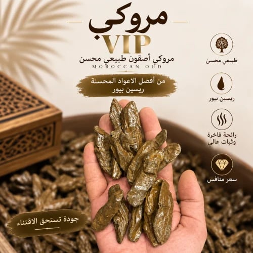 مروكي VIP