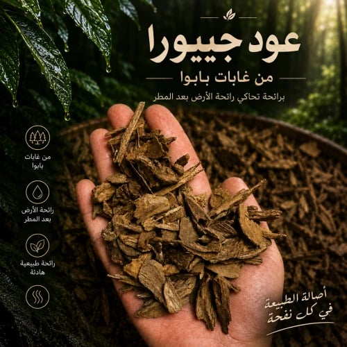 عود جيبورا غابات بابوا