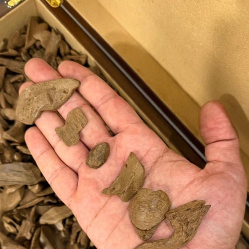 مروكي جواهر