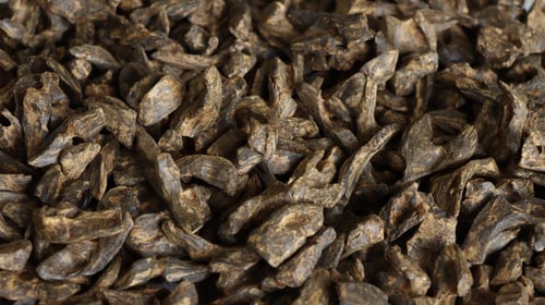 كمبودي الظبي