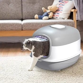 ليتر بوكس مغلق مع مجرفة من بت اند مور