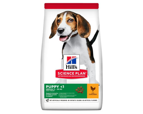 هيلز طعام جاف للبوبي بالدجاج