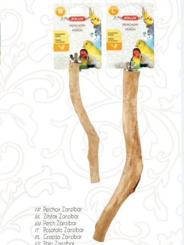 غصن طيور طبيعي زنجباري كبير