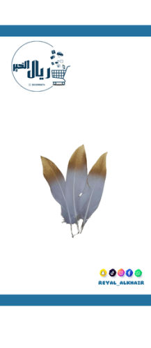 مغلف ريش هدايا ابيض *3حبة