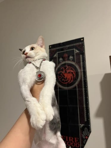 اعلام قيم اوف ثرونز | Game Of Thrones