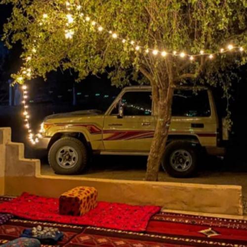 عقد لمبات الرحلات ليد 100 لمبه / 10متر