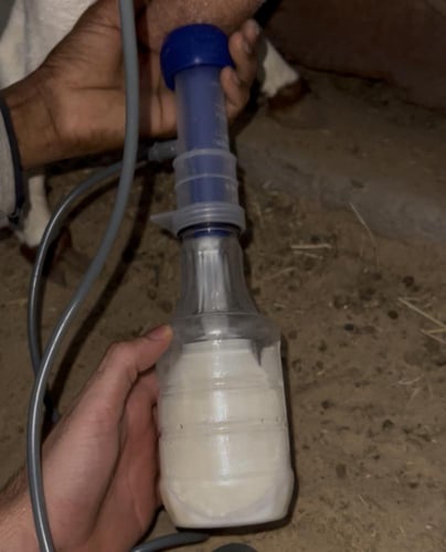 حلابة ماعز صغيرة 1 لتر