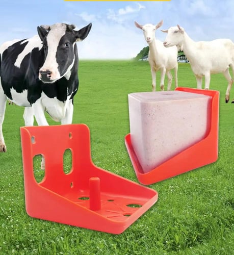 قاعدة تثبيت حجر املاح حجم صغير