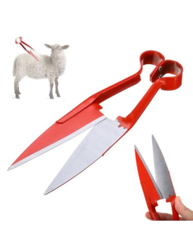 مقص صوف كبير