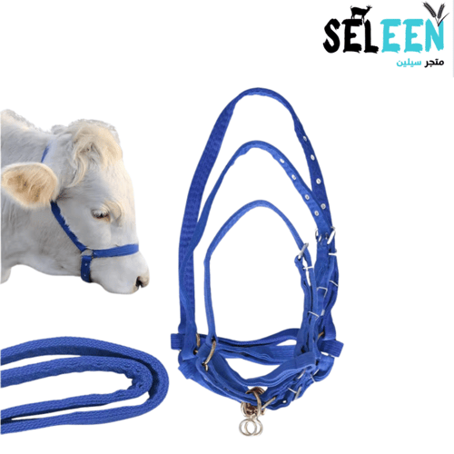 رشمة ابقار بدون مقود