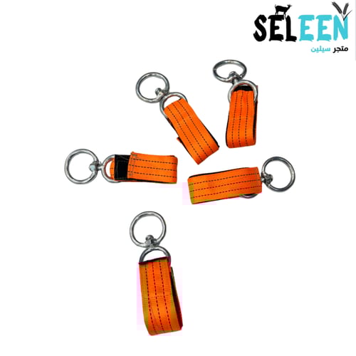 مجول يد بعير