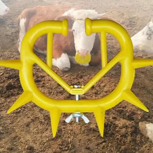 مانع رضاعة للأبقار