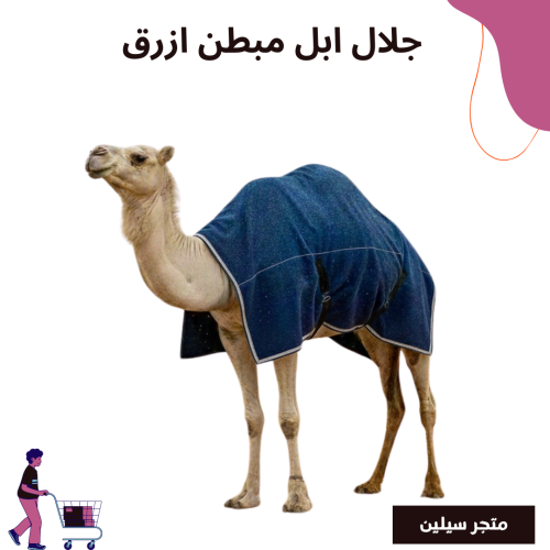 جلال ابل مبطن ازرق